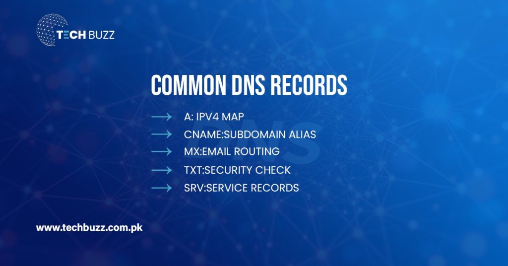 common Domain Name System Zone